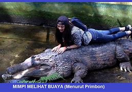 Arti Mimpi Melihat Buaya Di Sungai Togel